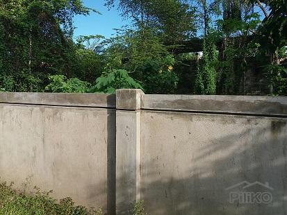 Picture of Other lots for sale in Dumaguete in Negros Oriental