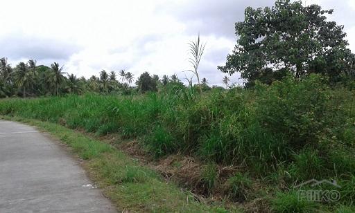 Pictures of Other lots for sale in Dumaguete