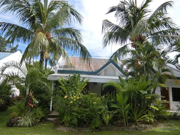 House and Lot for sale in Dumaguete - image 2