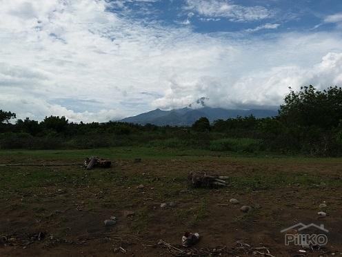 Other lots for sale in Dumaguete - image 2