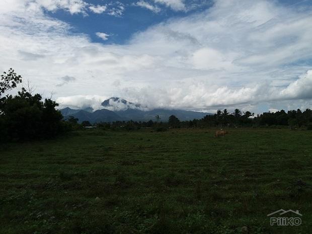Other lots for sale in Dumaguete in Negros Oriental