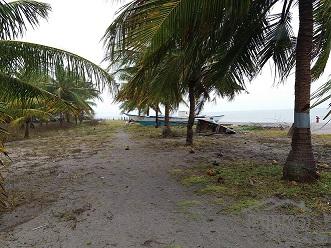 Other lots for sale in Dumaguete - image 4