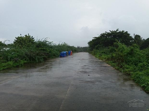 Other lots for sale in Dumaguete - image 5