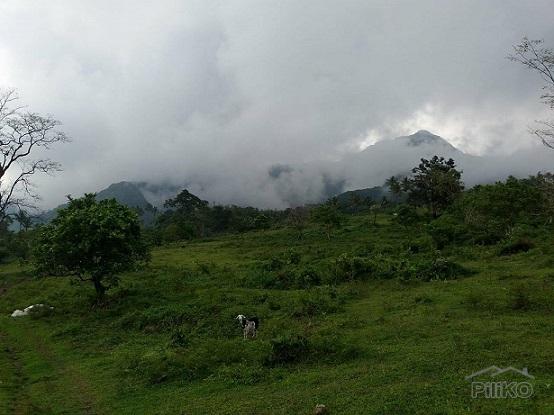 Picture of Other lots for sale in Dumaguete