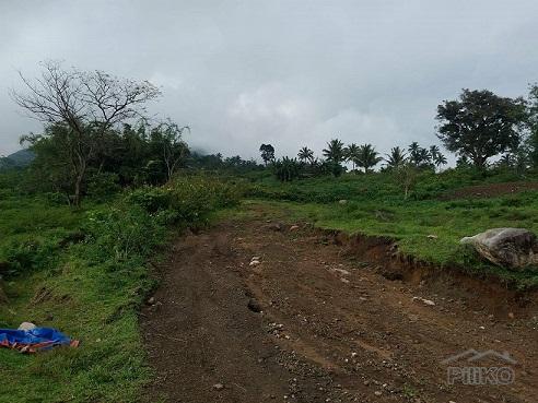 Other lots for sale in Dumaguete