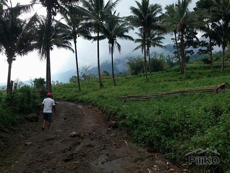 Other lots for sale in Dumaguete in Negros Oriental