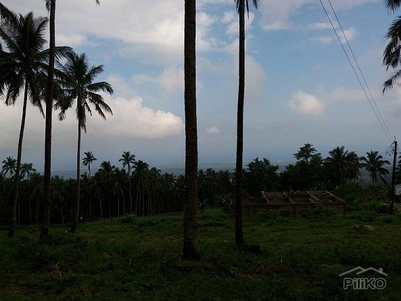 Other lots for sale in Dumaguete in Philippines
