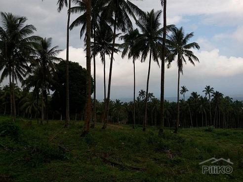 Picture of Other lots for sale in Dumaguete in Negros Oriental