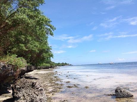 4 bedroom House and Lot for sale in Dumaguete - image 9