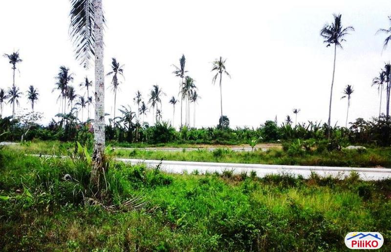 Residential Lot for sale in Silang in Philippines - image
