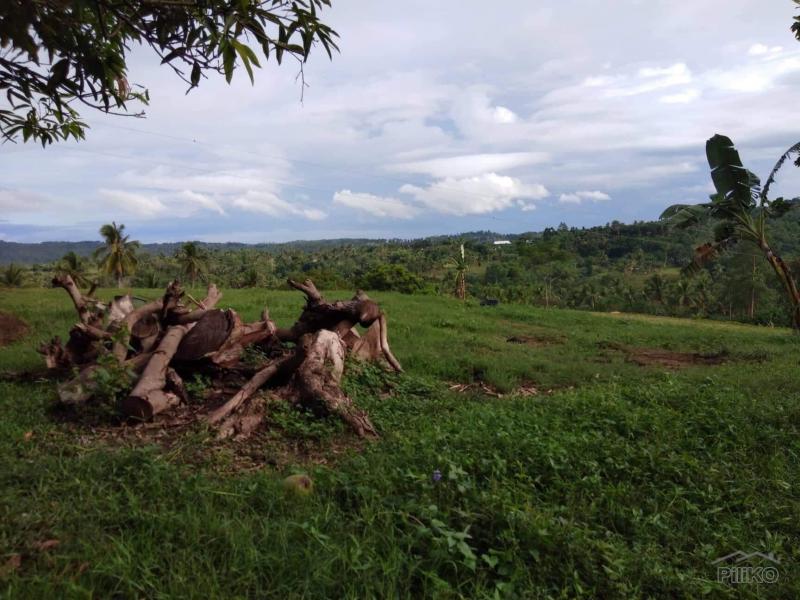 Land and Farm for sale in Barili