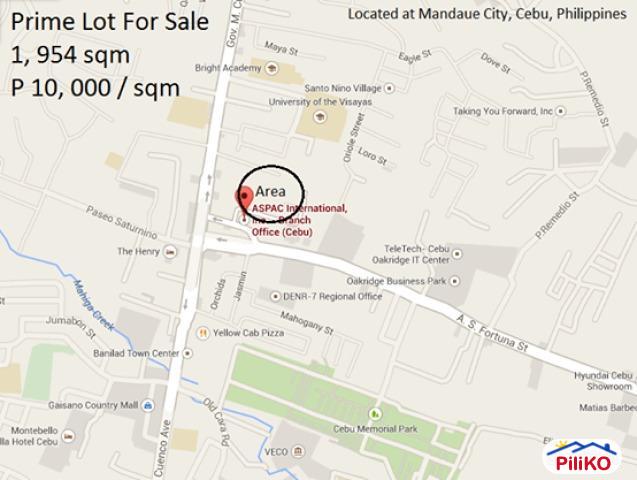 Pictures of Commercial Lot for sale in Cebu City