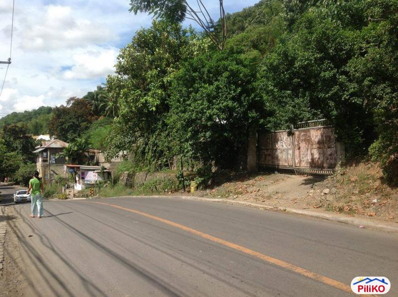 Pictures of Residential Lot for sale in Cebu City