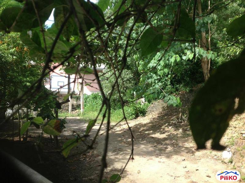 Residential Lot for sale in Cebu City - image 2