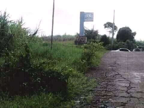 Picture of Land and Farm for sale in Nasugbu