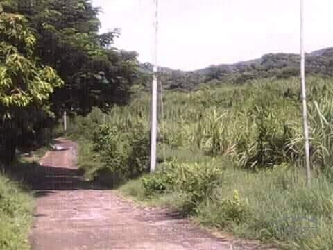 Land and Farm for sale in Nasugbu - image 2