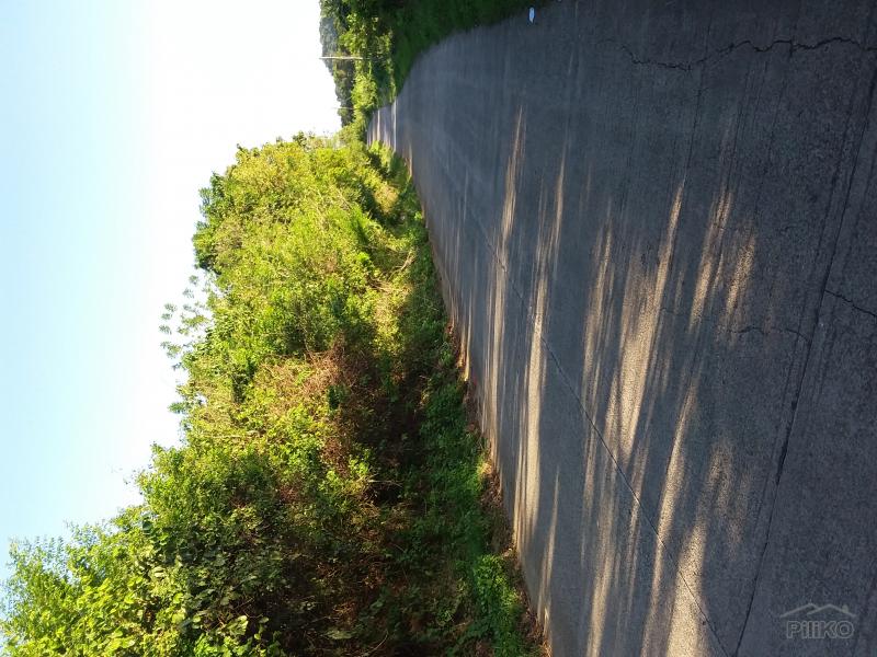 Picture of Land and Farm for sale in Nasugbu in Philippines