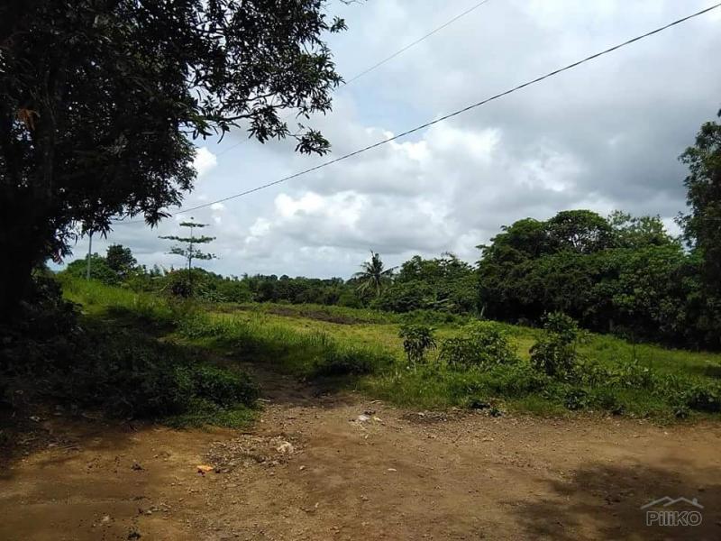 Land and Farm for sale in Tuy