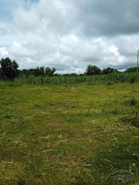 Land and Farm for sale in Tuy - image 4