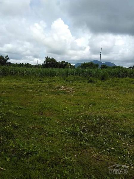 Land and Farm for sale in Tuy - image 5