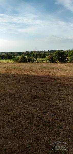 Pictures of Land and Farm for sale in Calatagan