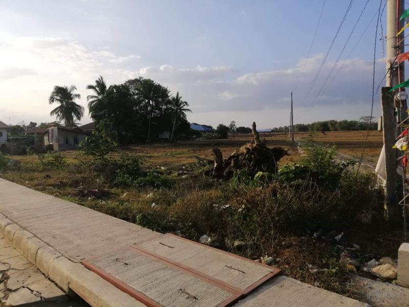 Land and Farm for sale in Rosario