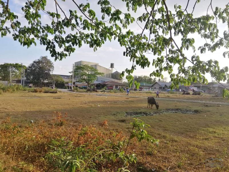 Land and Farm for sale in Rosario - image 3