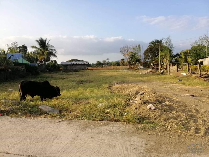 Land and Farm for sale in Rosario - image 4