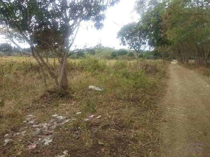 Land and Farm for sale in Rosario - image 10