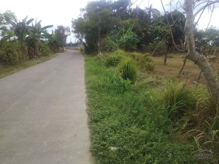 Land and Farm for sale in Rosario - image 6