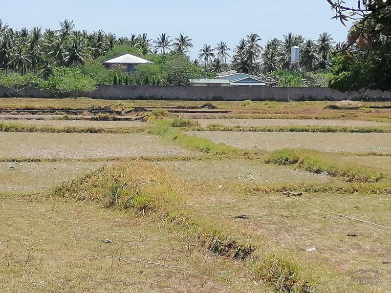 Land and Farm for sale in Rosario in Philippines - image
