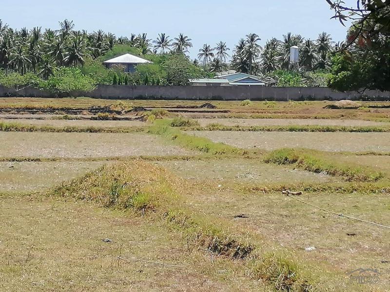 Land and Farm for sale in Rosario - image 8