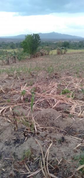 Land and Farm for sale in Nasugbu in Batangas