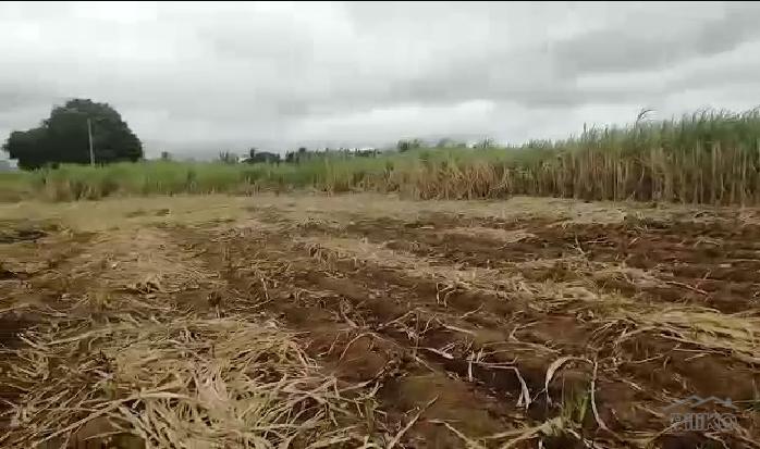 Picture of Other property for sale in Nasugbu