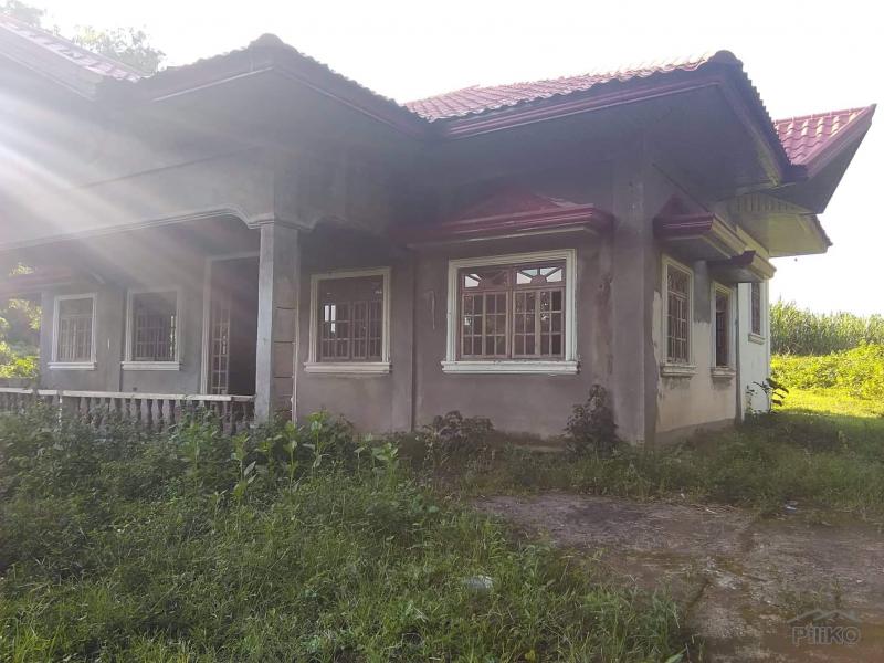Picture of Land and Farm for sale in Tuy