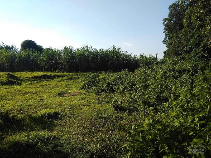Land and Farm for sale in Tuy