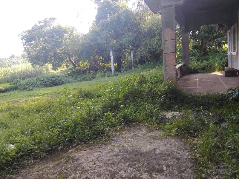 Land and Farm for sale in Tuy - image 4