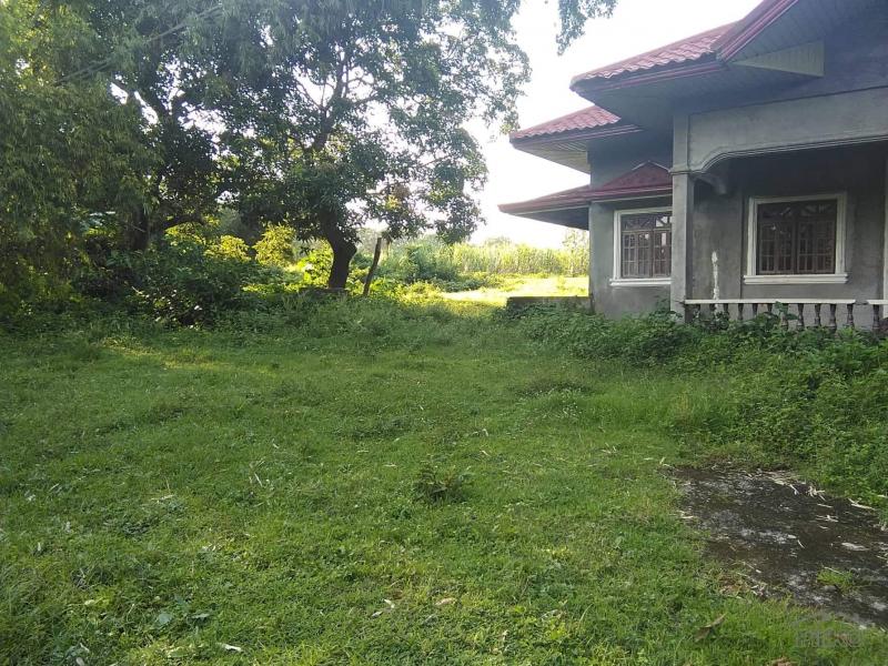 Land and Farm for sale in Tuy - image 5