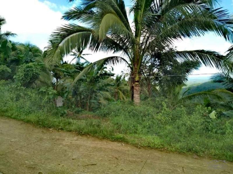 Land and Farm for sale in Lopez