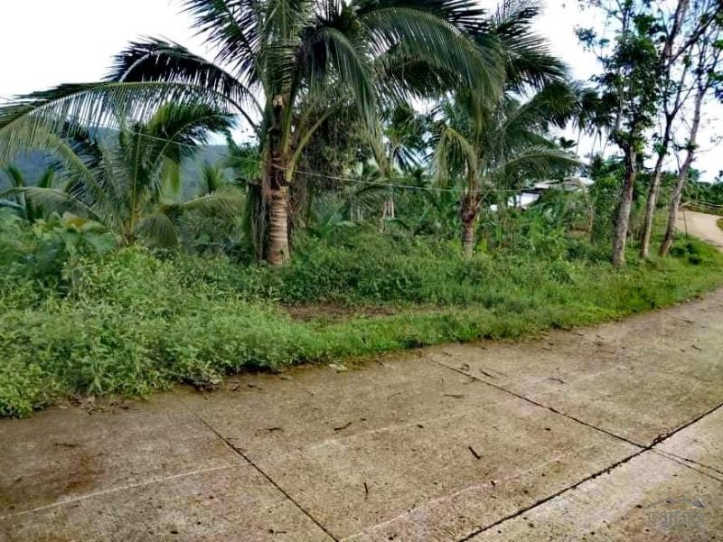 Land and Farm for sale in Lopez in Quezon - image