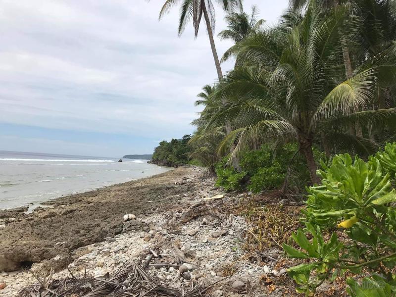 Other property for sale in Mati