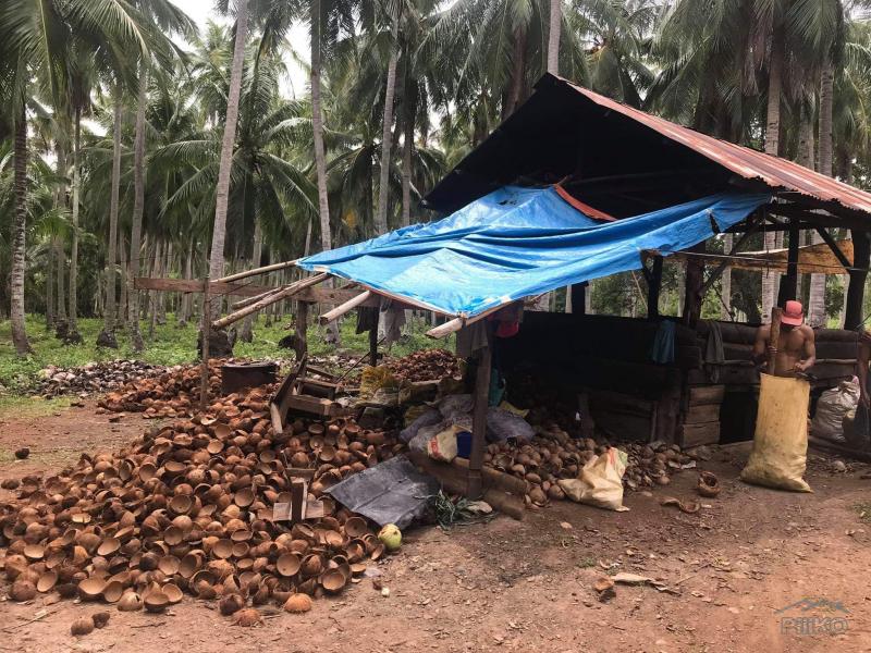 Other property for sale in Mati - image 4