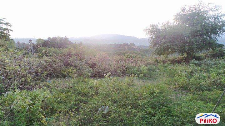 Picture of Other lots for sale in Cebu City in Cebu
