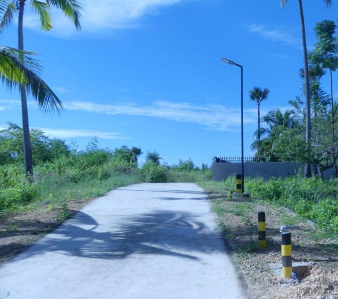 Residential Lot for sale in Alcoy - image 11