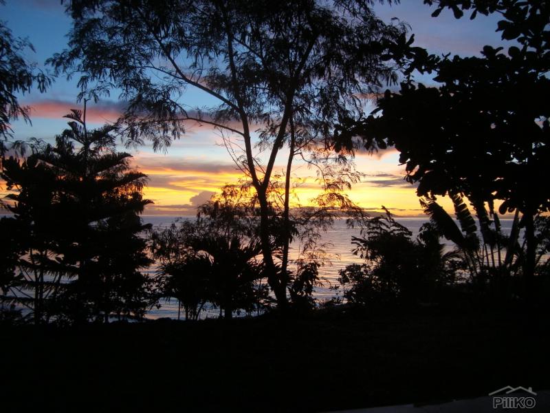 Residential Lot for sale in Alcoy - image 13