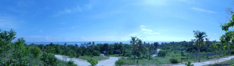 Residential Lot for sale in Alcoy - image 4