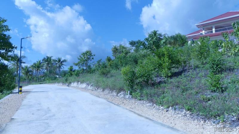 Residential Lot for sale in Alcoy - image 6