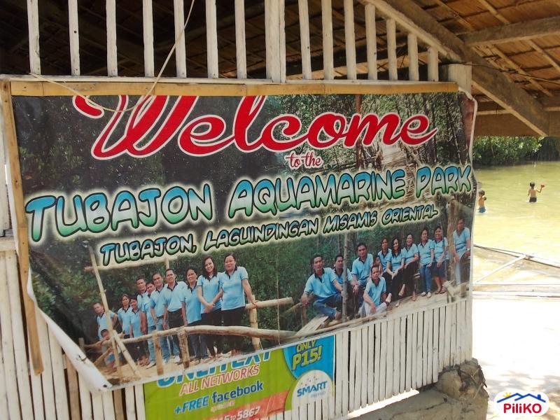 Other lots for sale in Laguindingan - image 2