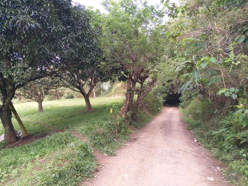 Land and Farm for sale in Cebu City - image 3
