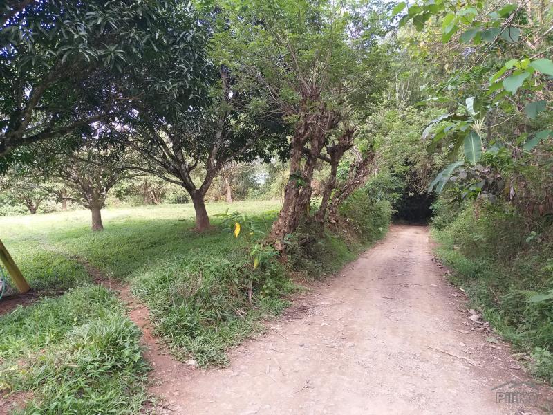Land and Farm for sale in Cebu City - image 6